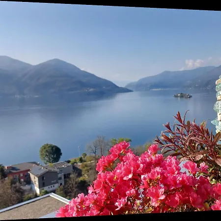 Sollevante Ascona